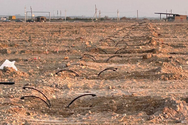 From Bare Land to Growing Walnut Orchard