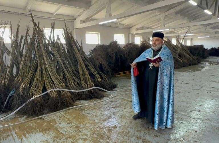 A Blessed Beginning: First Tree Planting for NutsAcademy