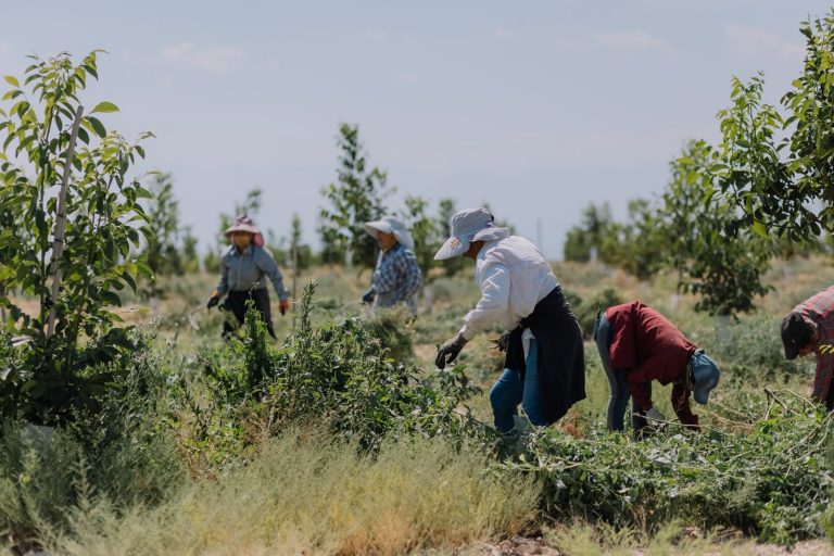 Supporting Local Employment and Economic Growth