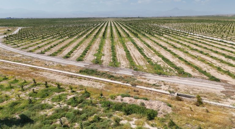 Nutsacademy continues to strengthen and expand its walnut-growing operations